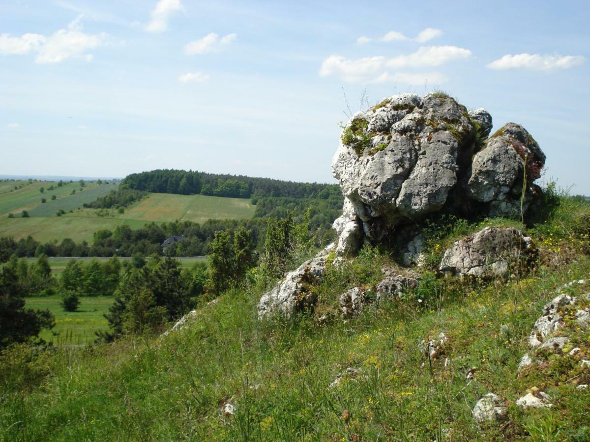 Villa Jura Pokoje Goscinne Zarki Dış mekan fotoğraf