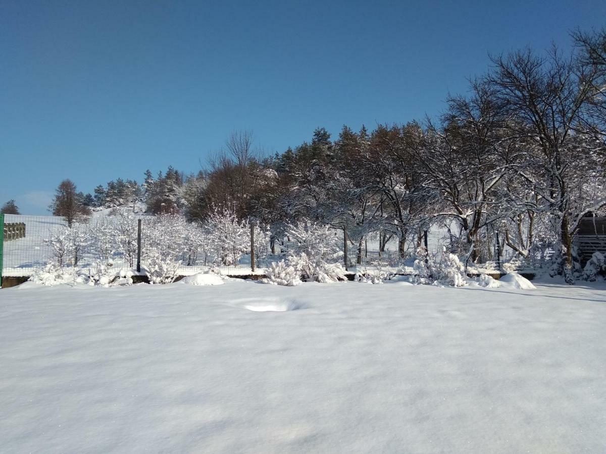 Villa Jura Pokoje Goscinne Zarki Dış mekan fotoğraf