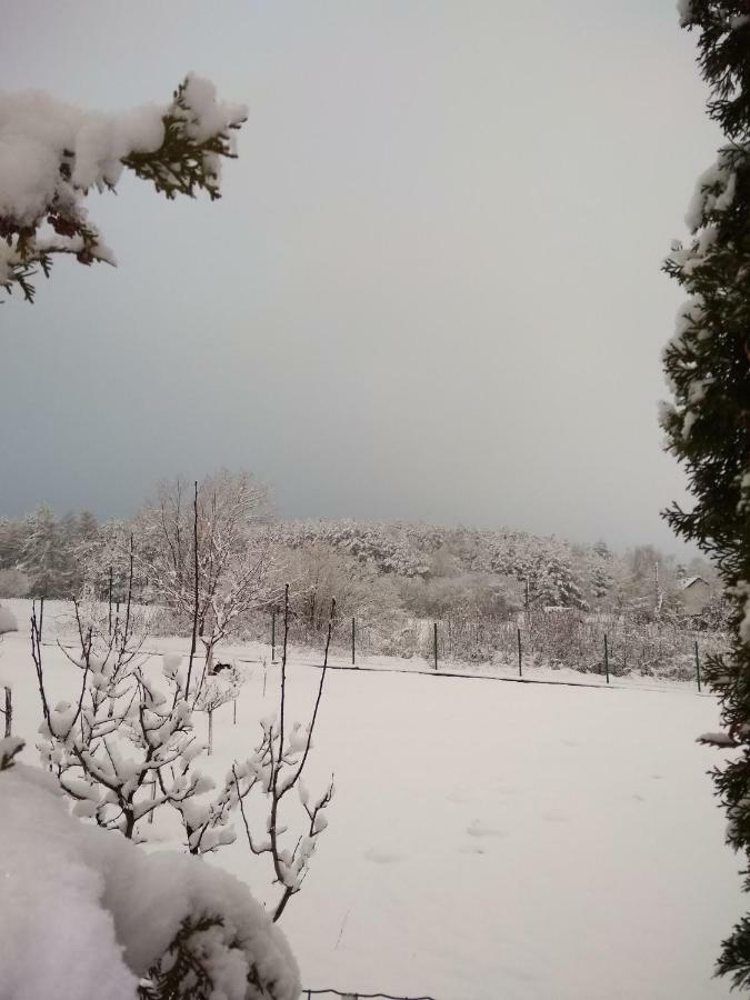 Villa Jura Pokoje Goscinne Zarki Dış mekan fotoğraf